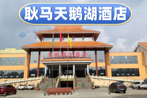 ���Ϲ������������ȼٹ۹�Ƶ�