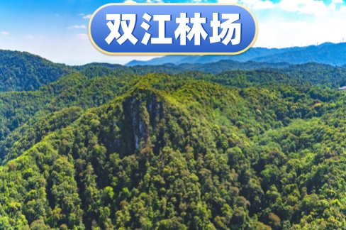 ����˫������Ͷ�ʹ������޹�˾