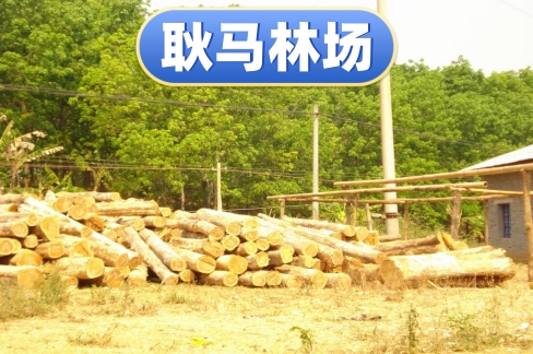 �����ٲ׵���Ͷ�ʹ������޹�˾